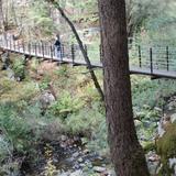 Deer Creek Tribute Trail