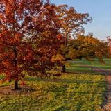 The Morton Arboretum