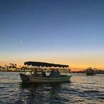 Duffy Boat Rentals in Newport Beach