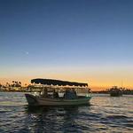 Duffy Boat Rentals in Newport Beach