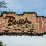 Busch Gardens Tampa Bay