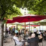 Aster Cafe