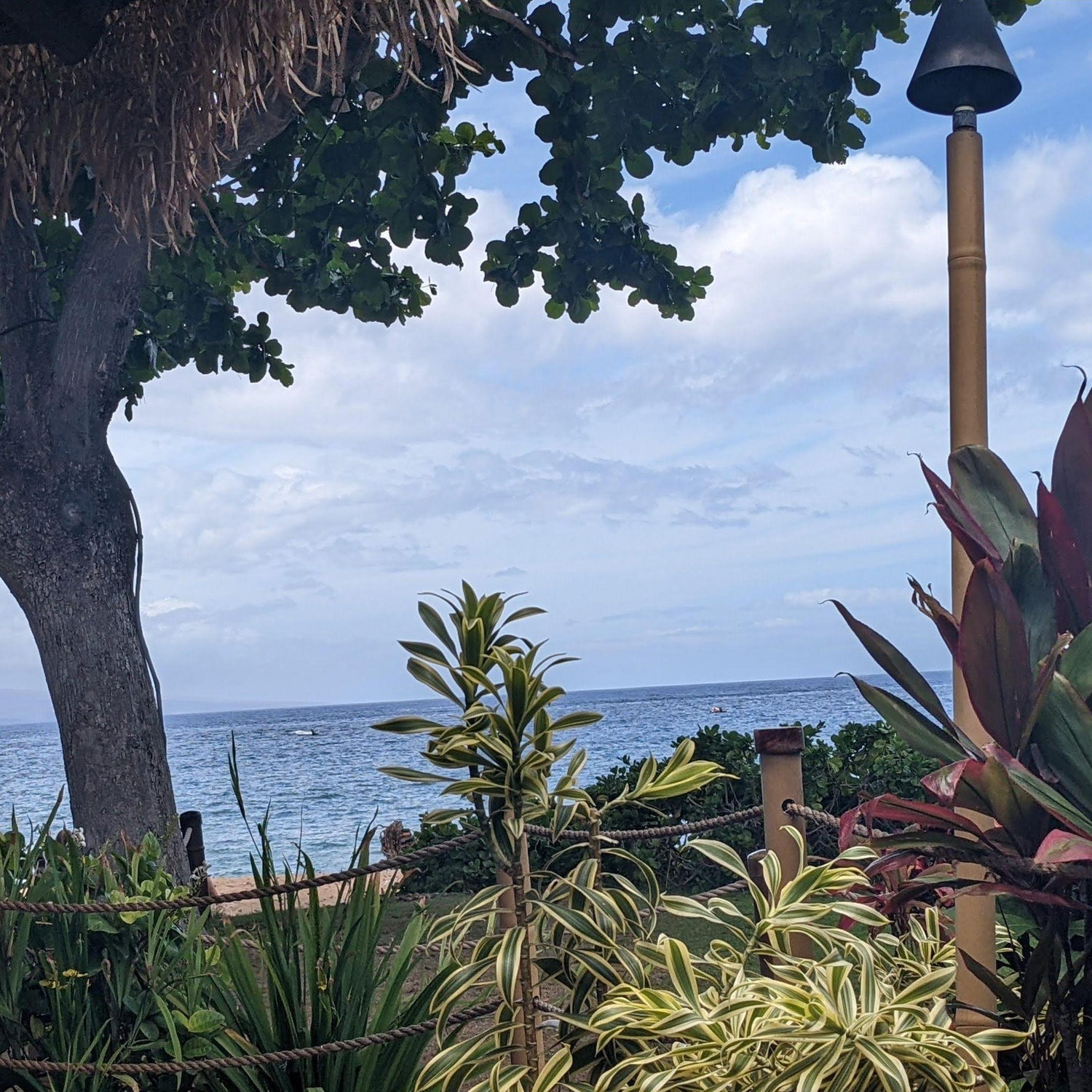 Hawaii