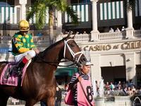 Gulfstream Park Racing and Casino