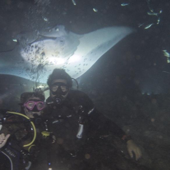 Hawaii manta ray dive, December 2021