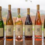 Navarro Vineyards & Winery