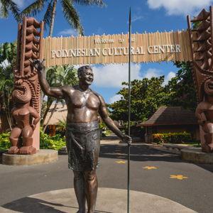 ALI'I LU'AU Dinner and Tour Fund