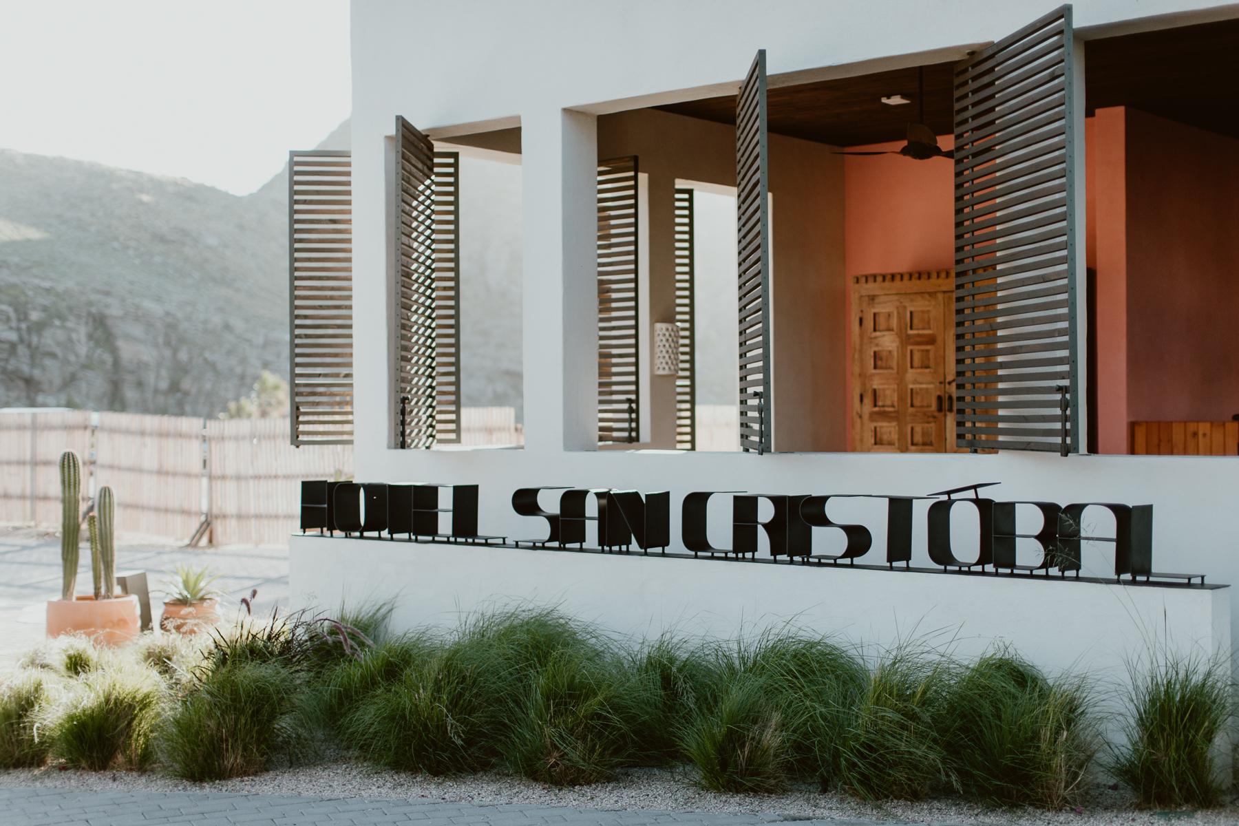 The Wedding Website of Alexandra Borrelli and Mason DeRieux
