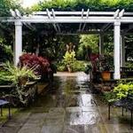 The Frelinghuysen Arboretum