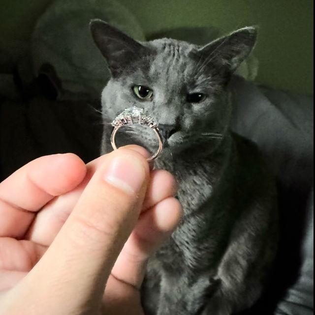 Marshall giving his approval of the ring