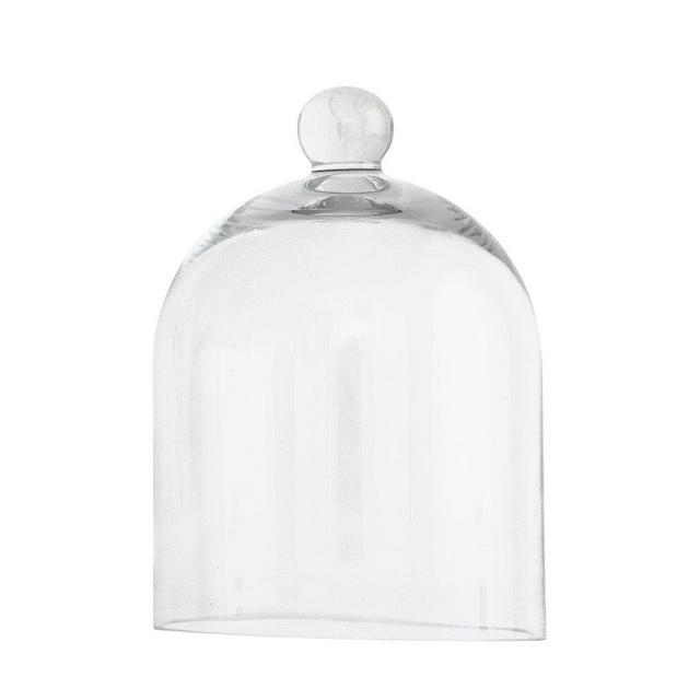 Glass Cloche, McGee & Co