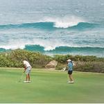 Turtle Bay Golf