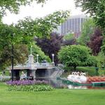 Boston Public Garden/Boston Common