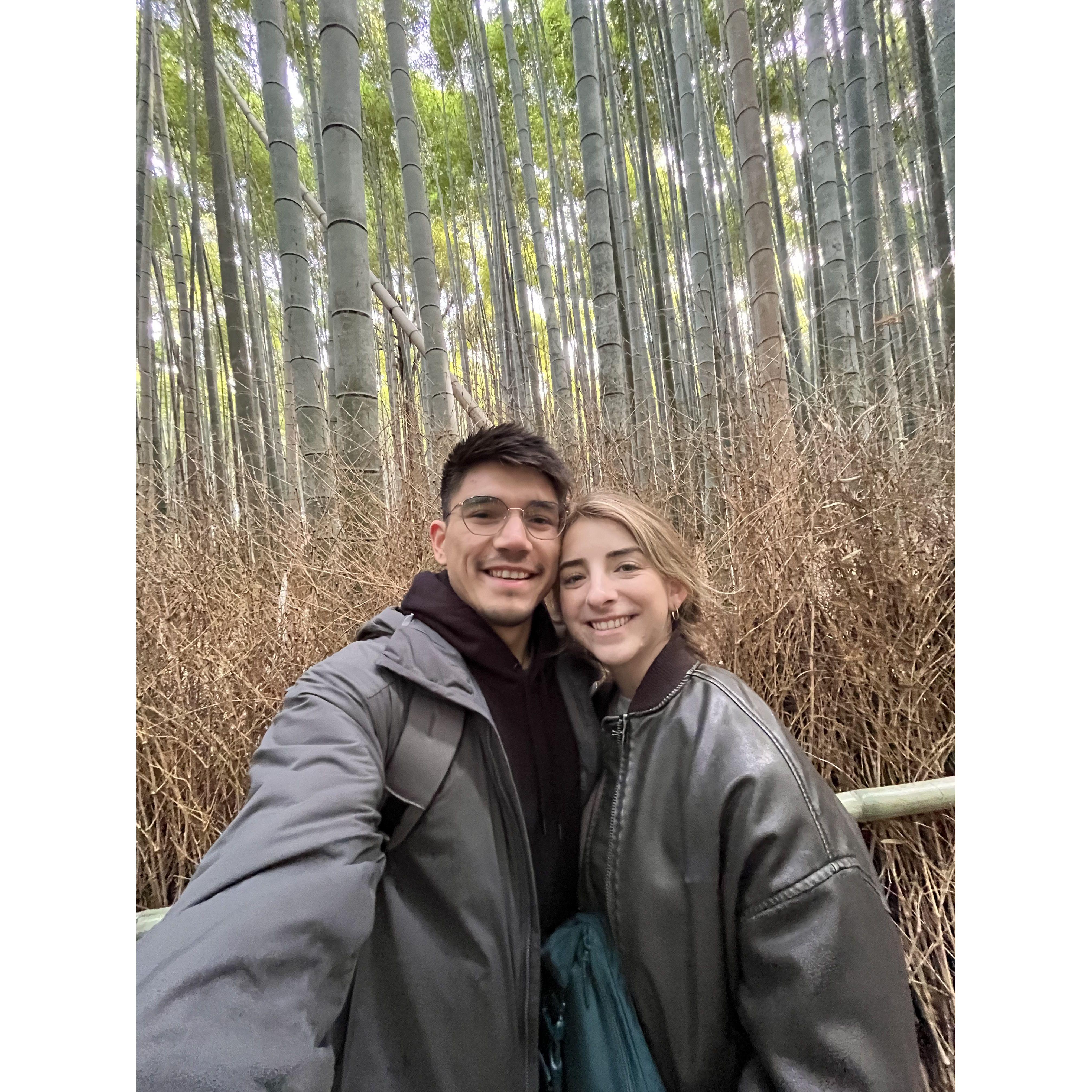 Christmas in Kyoto, Japan 2024 :)