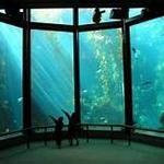 Monterey Bay Aquarium
