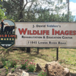 Wildlife Images Rehabilitation and Education Center