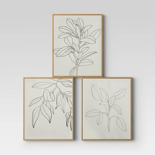 Set of 3 16" X 20" Leaf Illustrations Framed Wall Canvas - Opalhouse™