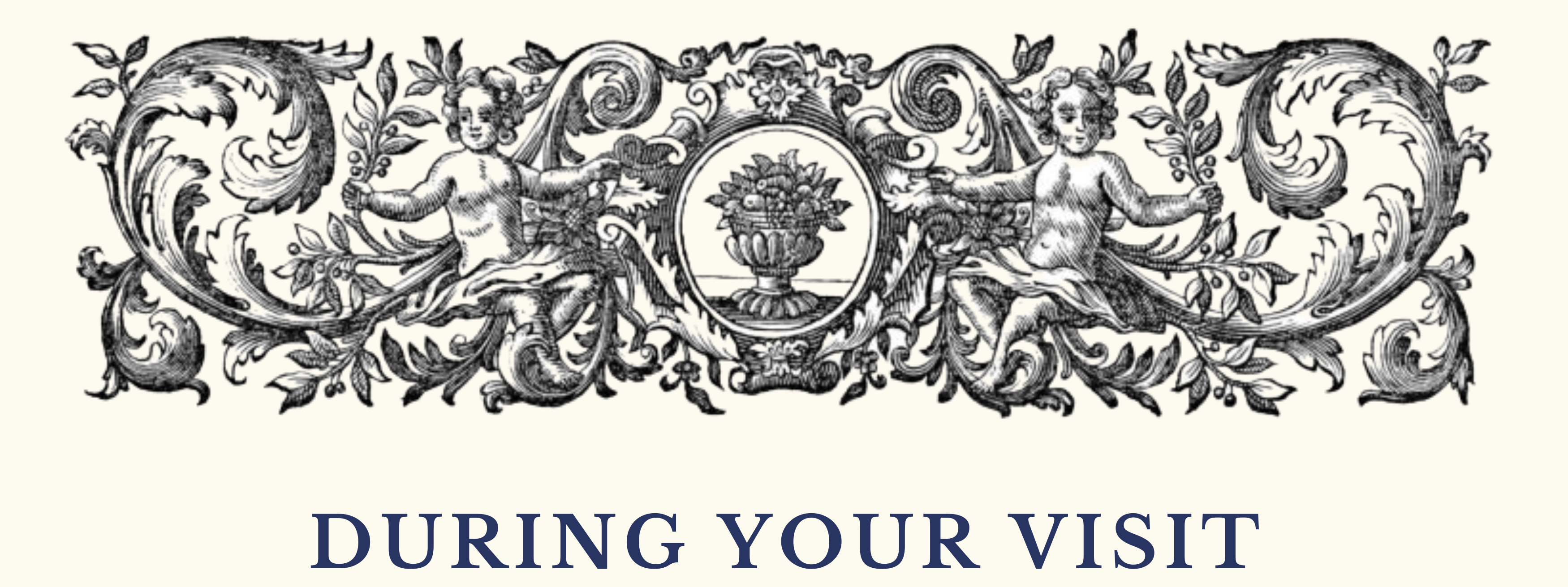 The Wedding Website of Sydney Leary and Shane Leary
