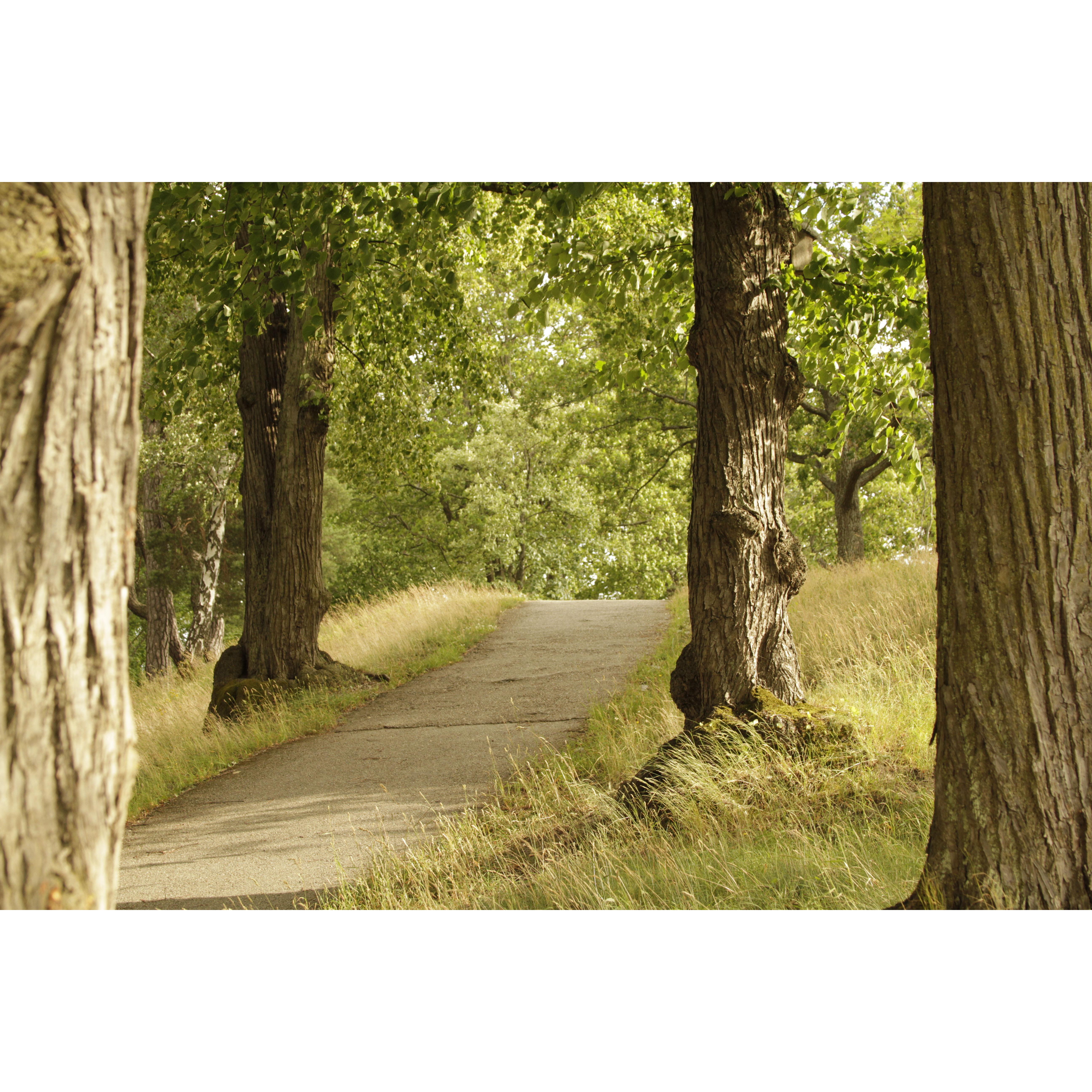 A hint of the atmosphere on the day...