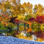 Missouri Botanical Garden