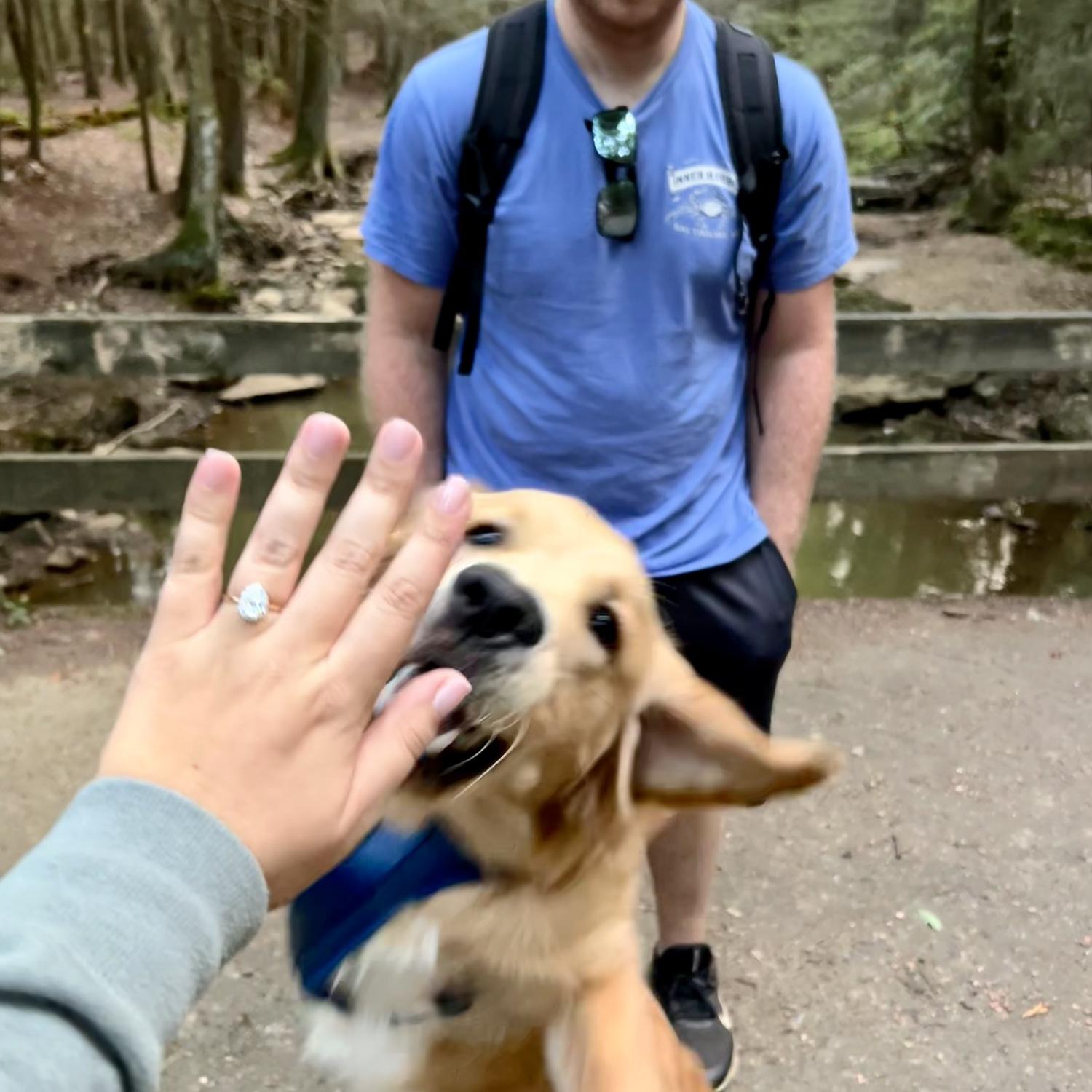 The day we got engaged at Kimberly Run Natural Park💍