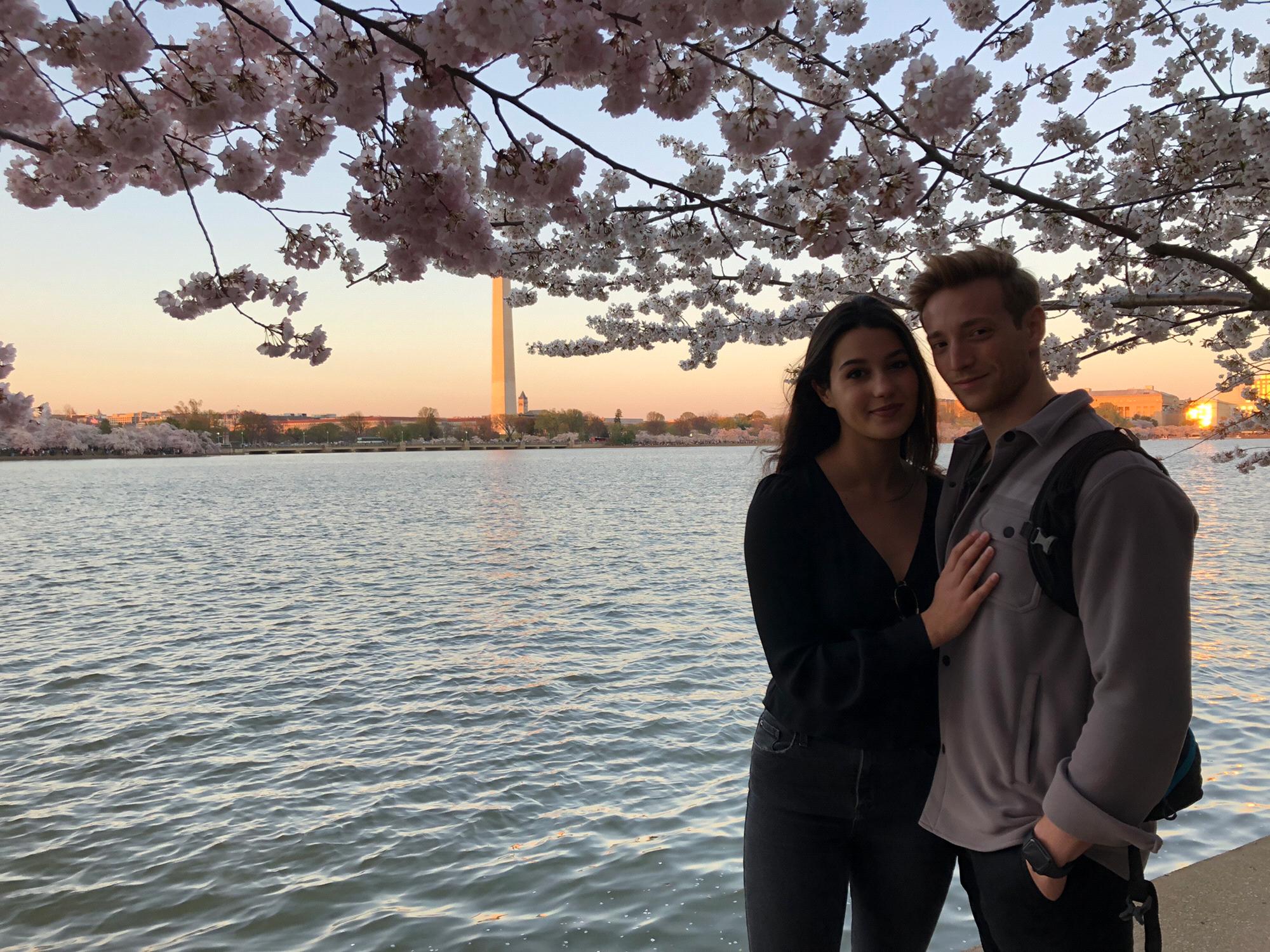 Cherry Blossoms in DC, 2019