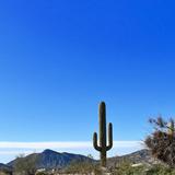 Cave Creek