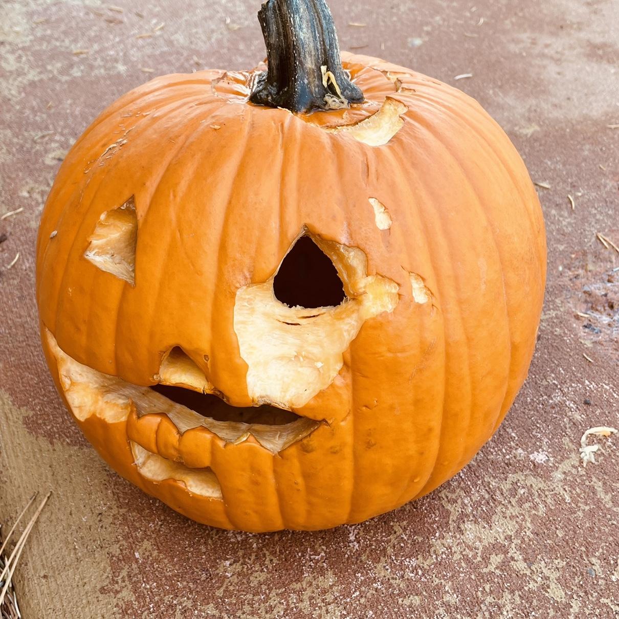 This was our first Halloween jack-o'lantern. A deer ate our boi!! It was our first major tragedy.