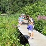 Mass Audubon's Ipswich River Wildlife Sanctuary