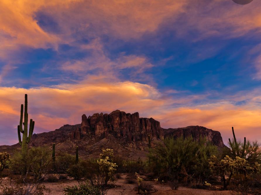 The Wedding Website of Stevi Goodman and Ryan Farrar