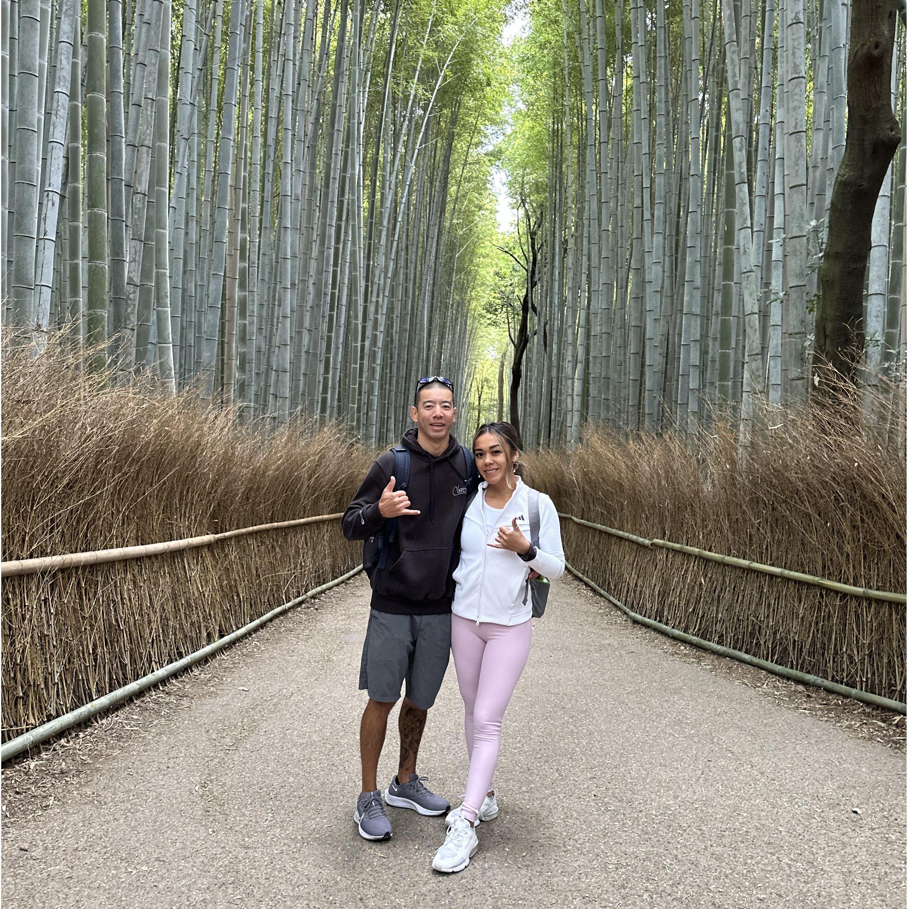 Japan, Bamboo Park