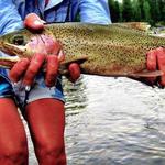Guided Fishing