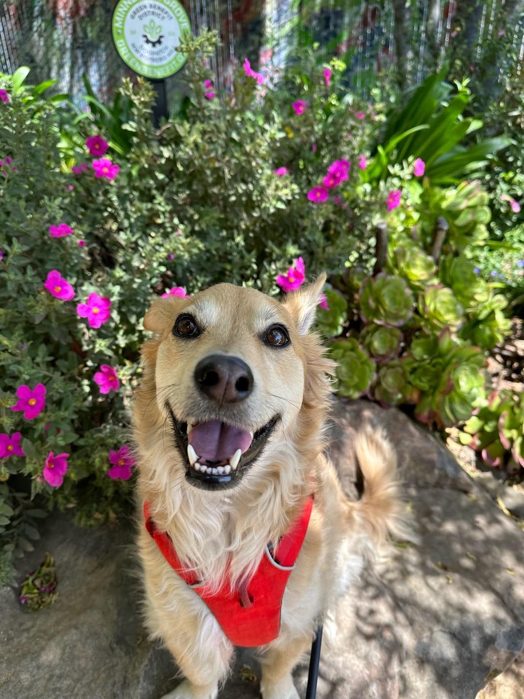 b563e3e8-66aa-44e0-a1c1-f839b2a2ca14