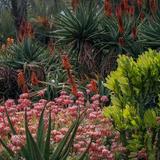 The Huntington Library, Art Museum, and Botanical Gardens
