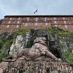 The Lion of Bartholdi