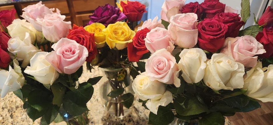 The Wedding Website of Miranda Cabaong and Eric Pollack