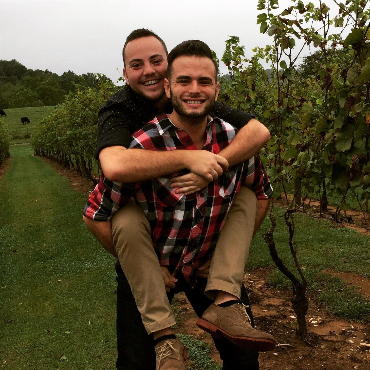 Virginia wine tour