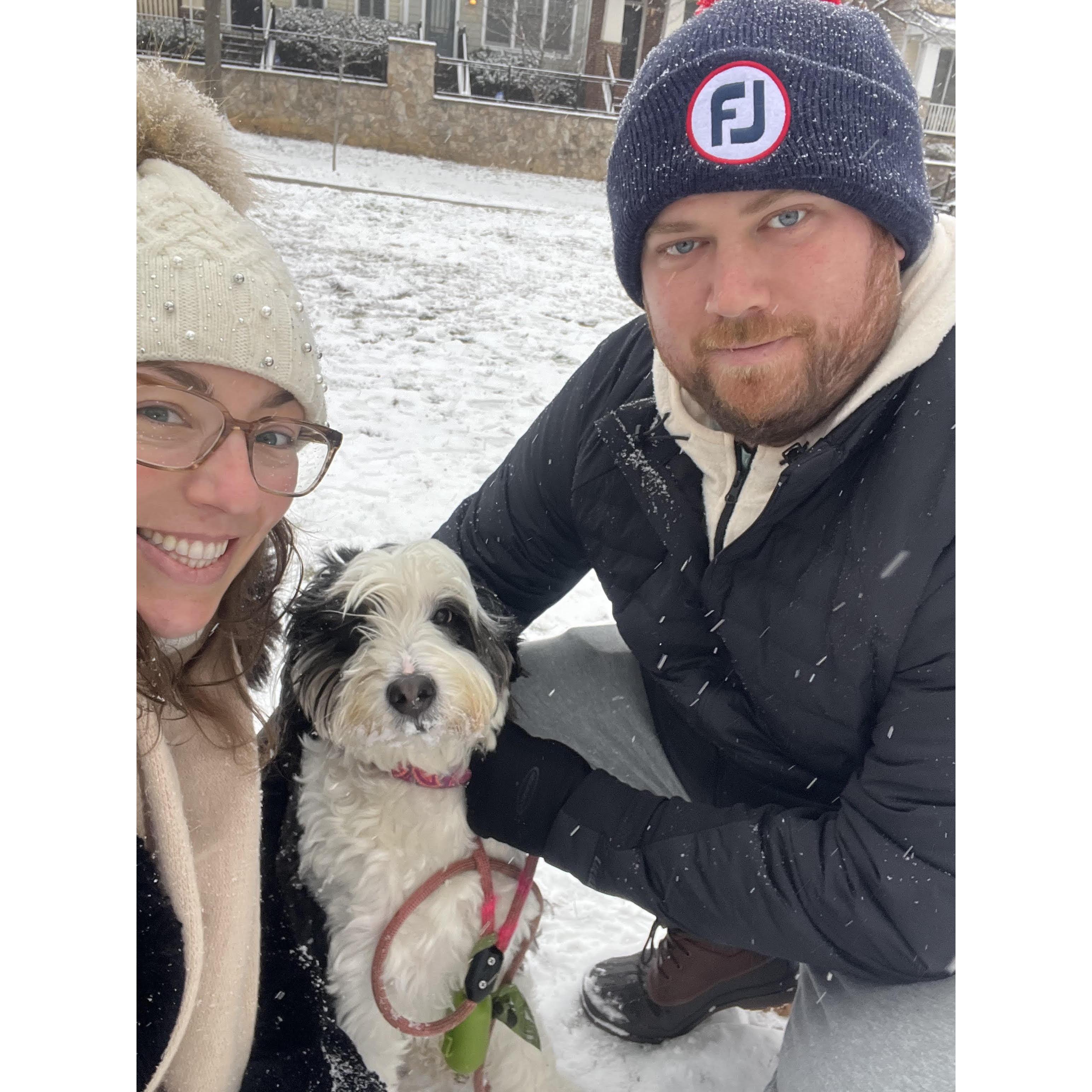 Family walk in Arlington!