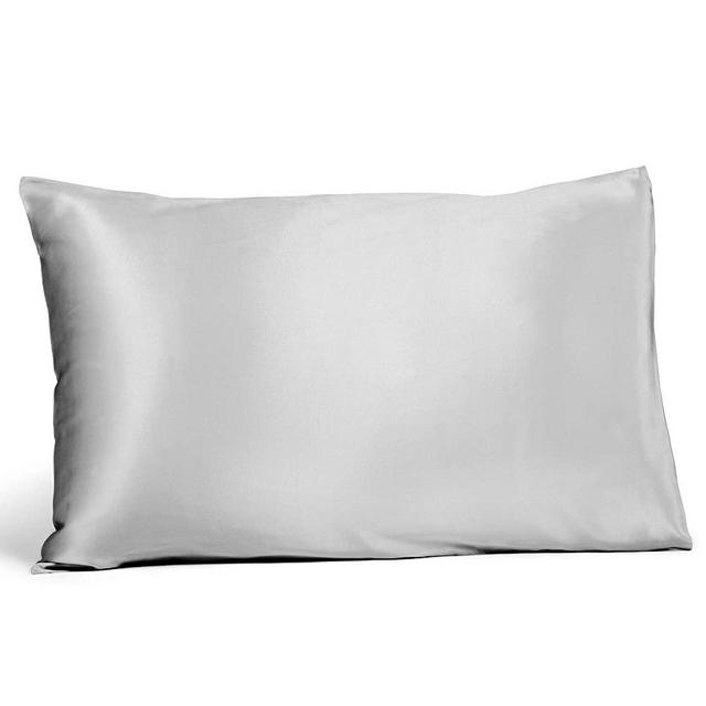 Fishers Finery 19mm 100% Pure Mulberry Silk Pillowcase, Good Housekeeping Quality Tested (Gray, S)