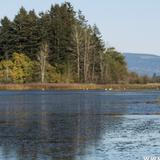 Fern Ridge Lake-Kayaking