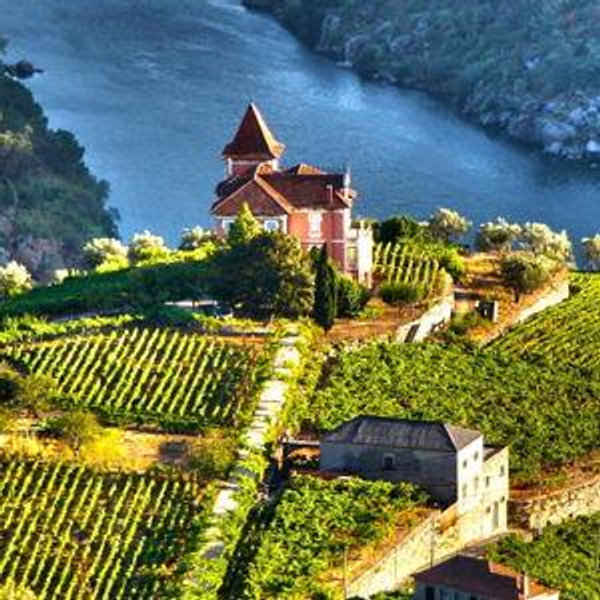 Douro Valley, Portugal Honeymoon