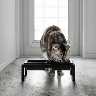Tower Small Pet Food Bowl with Tall Stand