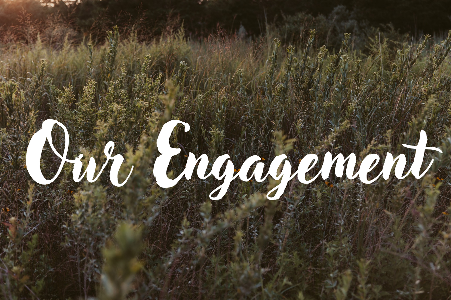 The Wedding Website of Brittany Miranda and Seth Russell