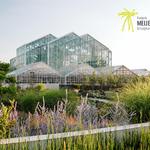 Frederik Meijer Gardens & Sculpture Park