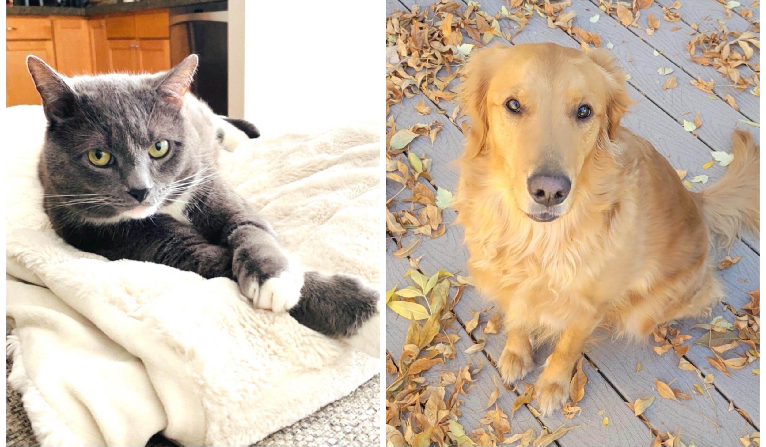 The Wedding Website of Sydney Dawkins and Chris Sartain