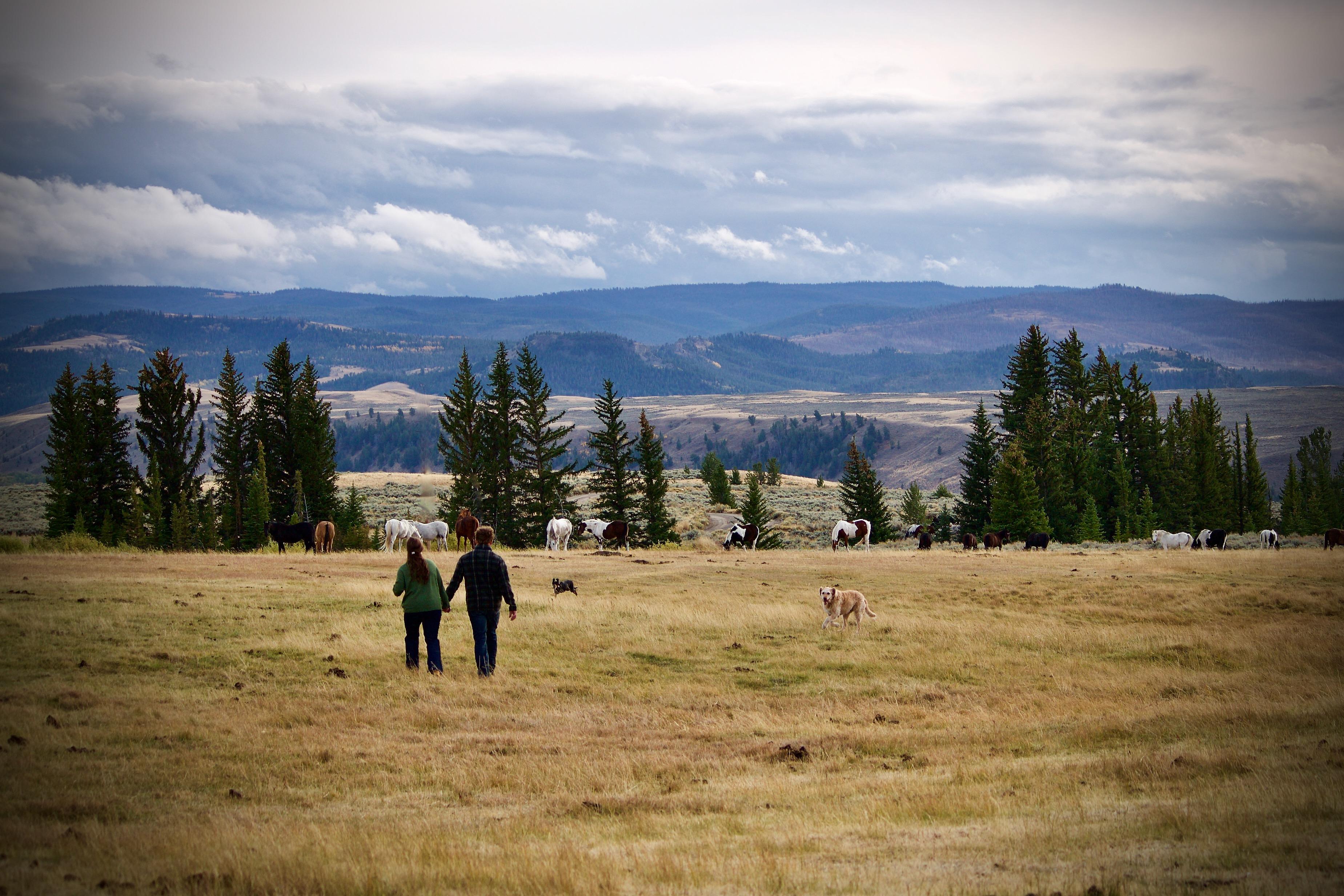 The Wedding Website of Michael Slawiak and Madison Harper