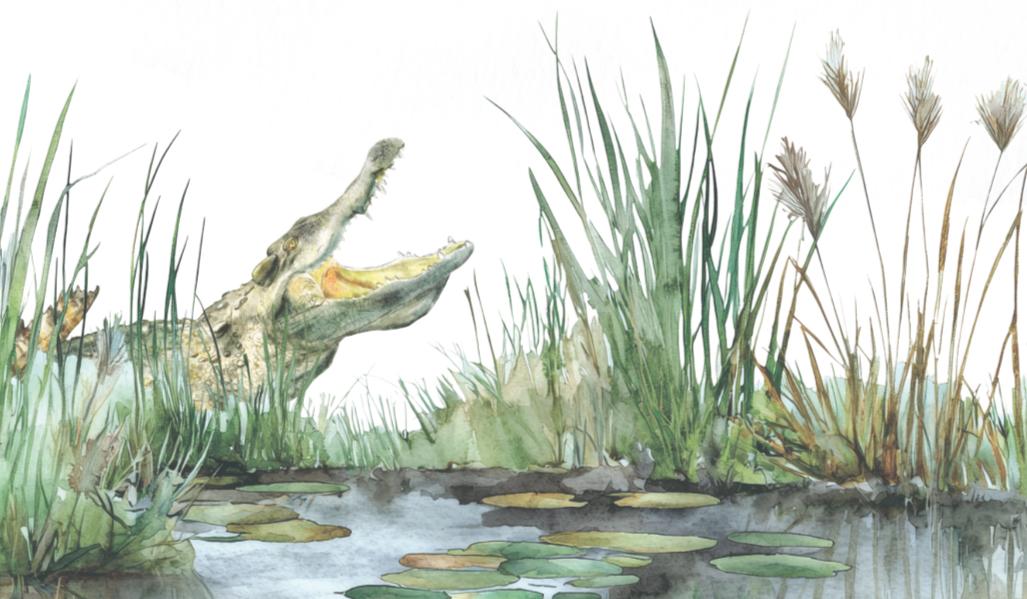 The Wedding Website of Kathleen Abigail Goodman and Michael Hunter Varner Jr.