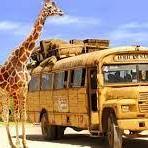 Africam Safari
