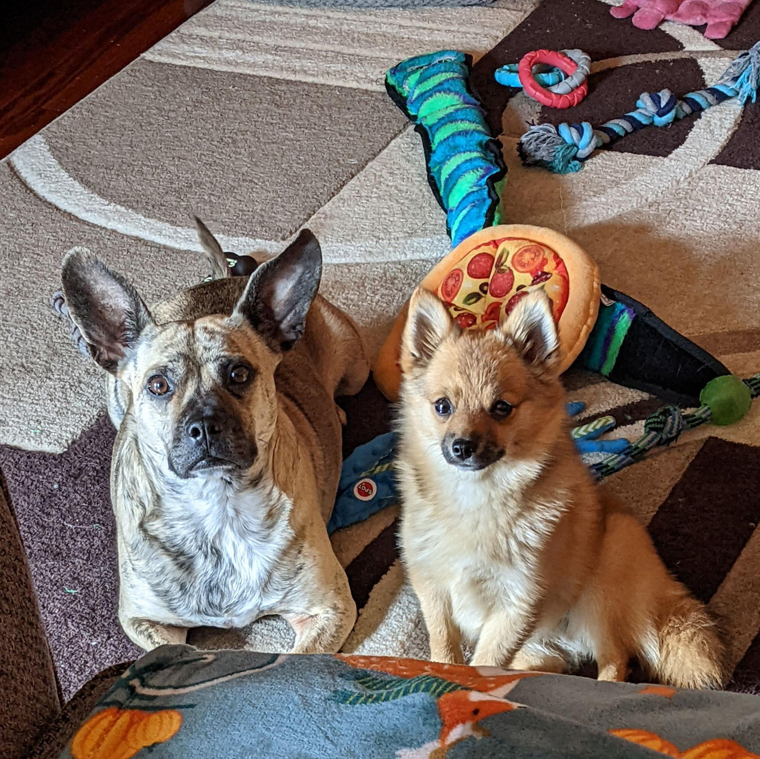 Can't forget about Evie and Maya! These two tie everything together for us each and every day.