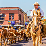 Fort Worth Stockyards